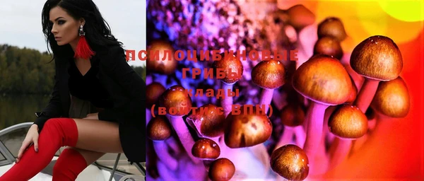 эйфоретик Богданович