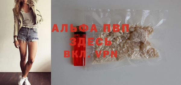 круглые Белокуриха