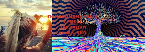 круглые Белокуриха